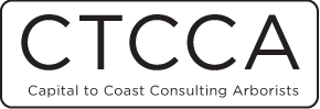 CTCCA Logo